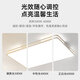 全光谱套餐中山灯具客厅灯主灯现代简约大气长方形LED吸顶灯大灯 36W 全光谱护眼RA9738*38CM-36W-
