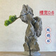 The raw stone is slotted and attached to the stone bonsai, which can be attached with elm, golden bean, fish tank, rockery, garden landscaping stone 17-20cm (slotted model will be shipped randomly)