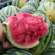 Kirin Meidu watermelon seeds with thin skin, crack-resistant, few seeds, super sweet and crispy 8424 round watermelon Meidu watermelon seeds, 200 pieces original Kirin Meidu