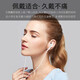 Honor (HONOR) wired earphones Type-c Honor 60pro丨50丨se丨magic3丨4pro Huawei semi-in-ear headset enjoy 9x8 new bag-white (Type-C earphones) AM33