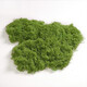 Runhuanian imitation moss landscaping fake moss yarn turf green plants micro landscape plant decoration artificial bionic lawn paving filamentous moss light green 50g can be paved 30*60cm