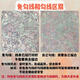 三栖虎三甜系列福气满满镇数字油画纯画布2024新款多巴胺填色画diy填充 Z693 洛丽塔花店 40*50CM色块较小DIY颜料画笔+纯