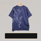 Arc'TERYX Arc'TERYX Arc'Bird Print Antibacterial Moisturizing Wicking Round Neck T-shirt 9721 Tatsu/Stone Green Antique Green S