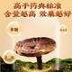 修正灵芝孢子粉胶囊破壁灵芝孢子粉增强免疫孢子粉手术后营养礼品