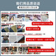 关东宜家地毯客厅2025新款免洗可擦沙发地垫卧室感家用轻奢地毯 简约1123号 240cm*400cm (定制不退不换)