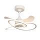Ywzr Nordic Fan Light 2025 Nouveau restaurant de chambre à coucher maître de plafond Light Home Integrated Chandeliers Modern and Simple 9227 noir 60cm-voix (pas besoin de réseautage + télécommande)