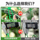 
Monstera plant support pole Flower Phalaenopsis fixed green plant anti-lost gardening flower stand fixture collector [1 set of green] including four sizes