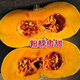 Mopan Big Pumpkin Old Variety Large Pumpkin Seeds Self-saved Pumpkin Seeds High-yielding Vegetable Pumpkin Seeds Mopan Big Pumpkin Seeds Original Five Packs About 130 + Songpin