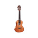 Ajima AJIMA Full Single Mahogany Ukulele Small Guitar Beginners Male Student Adult Female Uklili A3 23-inch Log Color A3 Full Single Matte
