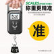 [Terminé par Zhang Chenguang] Échelle électronique portable Échelle portable portable Scale de ressort à haute précision de haute précision pesant les bagages alimentaires pesant la longue durée de vie de la batterie Modèle de chargement blanc 50 dollars [Jin est égal à 0,5 kg] - Précision 5 grammes