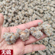 北京同仁堂文山三七20头30头40头干货田七粉超细粉三七花三七中药材原料 无剪口60头500克