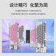 罗技罗技K835马里奥有线机械键盘游戏办公悬浮键帽小型84键笔记本外设 95新微光主题 青轴