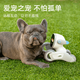 
Kelibao Loona Machine Dog AI Embodied Intelligent Robot Children's Programming Learning Robot CES Innovation Award Language Switching Interactive Early Education Toys Children's Fun Limited Blue Set