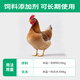 Huiqianfang Ovum Kang veterinary feed additive for laying hens, epimedium extract, vitamin E, Bacillus subtilis, 5 bags