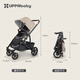 UPPAbabyCRUZ stroller, high view, two-way, sit and lie down, easy to fold, baby stroller CRUZ V2+, gray pink - new product upgrade