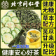 Beijing Tongrentang grünes Geld Willow Maulbeerblatt Doppelte Melontee Mais Rasur Mulberry Blatt Doppelte Melontee 200g Doppelte Melontee -Sahne Old Mulberry Blatt Bittere Melone [50 Taschen verbessert