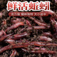 Live earthworm bait, fresh red worm fishing bait, crucian carp, wild fishing black pit fish material, nesting material, fish food, kill live earthworms, half Jin Jin equal to 0.5 kg (medium size), free nutritious soil
