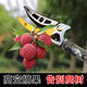 Leaf picking fruit artifact pruning shears telescopic high-altitude fruit picking scissors extended picker lychee lotus longan high branch shears 2.1-5m 3-section telescopic including saw blade