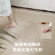 德国品质客厅地毯轻奢感2025新款凉席地垫夏季房间榻榻米地毯 15780 140cm*200cm