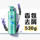 Flancez du shampooing anti-dandroff à parfum pour hommes et femmes Dance Dance 530g Shampooing Fragrance Shampooing for Hair Cream