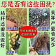 Yiqiang bio-organic fertilizer starter compost leaves pine needles chicken manure sheep manure cow manure retting bean residue kitchen waste fertilizer decomposed bacterial fertilizer 3 bags of fallen leaves turned into fertilizer