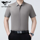 Sieben Wolf Mulberry Silk Short Sleeve Shirt Herren Sommer Neues Freizeitgeschäft No Bügelhemd mit mittleren Alter dünne halbärmelige Top 6913 Graues Grün 4xl 195/135