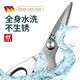 双立人（ZWILLING）德国尾货不锈钢厨房家用强力剪鸡骨食品剪商用烤肉剪子剪刀 全钢一体剪