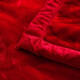 Antarctic red wedding blanket double-layer thickened 10 Jin [Jin equals 0.5 kg] blanket in autumn and winter cover blanket Rasher wedding blanket double quilt dowry gift CC-653 Big Red [Double-layer thickened blanket] 200*230cm [about 8 Jin [Jin equals 0.5 kg]]
