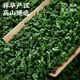 Tea Xiaoci Tea Anxi Tieguanyin Oolong Tea 2025 New Tea Special Alpine Original Orchid Tea Canned 100g