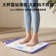 志高智能体脂秤  适用米家APP 精准电子秤称体重秤家用体脂秤健康小米华为苹果专用体重管理健身 白色【充电款】-已接入米家app
