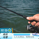 达亿瓦（DAIWA）24款TATULA XT 蜘蛛路亚竿高碳微物泛用远投鲈钓精细虫 直柄/682lfs 2.03m