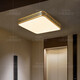 Heart mirror full copper outdoor ceiling light villa door light Chinese balcony entrance hall aisle anti-mosquito entry door light X3891-400/square