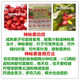 Mysterious fruit seedlings bloom in all seasons and bear fruit in the same year. The fruit seedlings turn into sweet potted plantings in Dongguan for 13 years. 6 and a half years. 5012. Under 15cm.