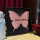 Three-dimensional tiger pearls wedding gift three-dimensional texture painting DIY digital oil painting fill color handmade acrylic texture XH13799 20x20cm thick solid wood inner frame