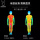 花花公子运动套装男士t恤冰丝速干衣健身跑步短袖短裤夏季羽毛球训练服 一次两套/替换无忧店长推荐 更优 XL (130-145斤)