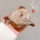 
Flower clip women's high-end 2025 new style with less hair volume shark clip hair clip women's back head hair clip headdress goddess must have [2 pieces of temperament/high-end]