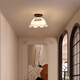 
Linba (LINBA) 2025 new aisle light corridor light creative art medium-old single-head entrance hall entrance balcony small ceiling light 3271 single-head ceiling (peach wood color) eye protection three-color light
