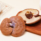 Qin Dingtai purple Ganoderma lucidum pruning Changbai Mountain Ganoderma lucidum natural red Ganoderma lucidum deep mountains basswood Linzhi soaked in wine and soup purple zhi wood linden red Ganoderma lucidum / Changbai Mountain direct hair 200 grams