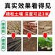 Soil loosening essence, loose soil fertilizer, soil conditioner, agricultural household no-deep tillage, drought resistance, loosening, anti-hardening soil loosening artifact, 5 packs