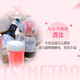 Ruiao (Rio) Cocktail/Tsingtao Bier Coupon Box 500 ml*12 Dosen Fruchtweinparty Geschenk
