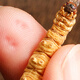 Grass Digger [Really] Wild Cordyceps sinensis Tibetan wild Cordyceps health tonic gift box gift (1 gram five roots) Wild Cordyceps 100 gift box