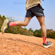 耐克（NIKE）JUNIER TRAIL 2 GORE-TEX防水男子越野跑步鞋HM9734 002白金色/白/神秘焰火色/泡沫粉 37.5