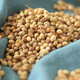 Coriander Seeds Coriander Seeds Seasoning Spices Coriander Seeds Soup Kitchen Edible Seasonings Braised Spices Coriander Seeds 500g