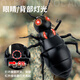 ZF remote control electric ant children's prank decompression artifact simulation for little boys and girls fun black technology toys [Classic version - remote control ladybug] Red 9922+ screwdriver, uniform size