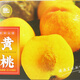 10Jin [Jin equivale a 0.5 kg] Caja de regalo de durazno amarillo Caja de envasado Peach Fresh Jinxiu Caja de regalo de durazno amarillo Fruit Belet Carton Cartón personalizado 3893/2 Kraft Paper Fresh Peach 8-10Jin [Jin iguala 0.5 kg] Dos manos con dos manos