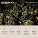 小罐茶园云海系列乌龙茶安溪铁观音清香型特级250g*2茶叶礼盒小罐茶出品