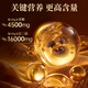 Tongrentang Break Wall Ganoderma Lucidum Spore Powder Organic Spore Oil Soft Capsule Gift Box Enhances Immunity Nutritional Health Products for Middle-aged and Elderly [5 Box Cycles] Enhances Immunity