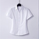 Business temperament v-neck professional shirt for women short-sleeved 2025 summer new white waist-slimming shirt work clothes 6213 Khmer shirt [white-v-neck] L (recommended [100Jin[Jin equals 0.5 kg]-110Jin[Jin equals 0.5 kg]])