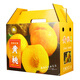 10Jin [Jin equivale a 0.5 kg] Caja de regalo de durazno amarillo Caja de envasado Peach Fresh Jinxiu Caja de regalo de durazno amarillo Fruit Belet Carton Cartón personalizado 3893/2 Kraft Paper Fresh Peach 8-10Jin [Jin iguala 0.5 kg] Dos manos con dos manos