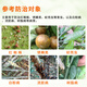 Guoguangpu Cai stone sulfur mixture fruit tree nursery orchard clearing garden sterilization mites red spider protective fungicide Guoguang Pucai 1kgX1 bottle stone sulfur mixture